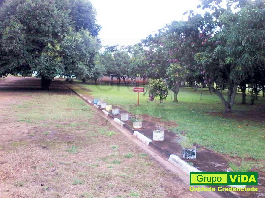 Clínica de Recuperação Região de Ribeirão Preto - SP | Foto 03