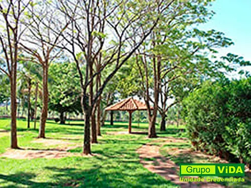 Clínica de Recuperação Região de Ribeirão Preto - SP | Foto 05