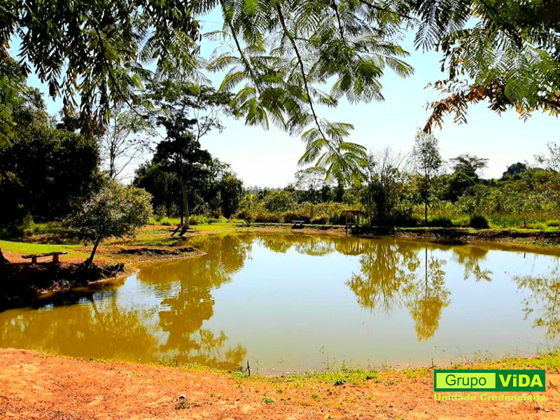 Clínicas de Recuperação São José do Rio Preto